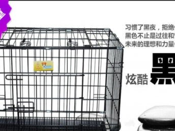 图 全新猫用品价格79 上海宠物食品 用品